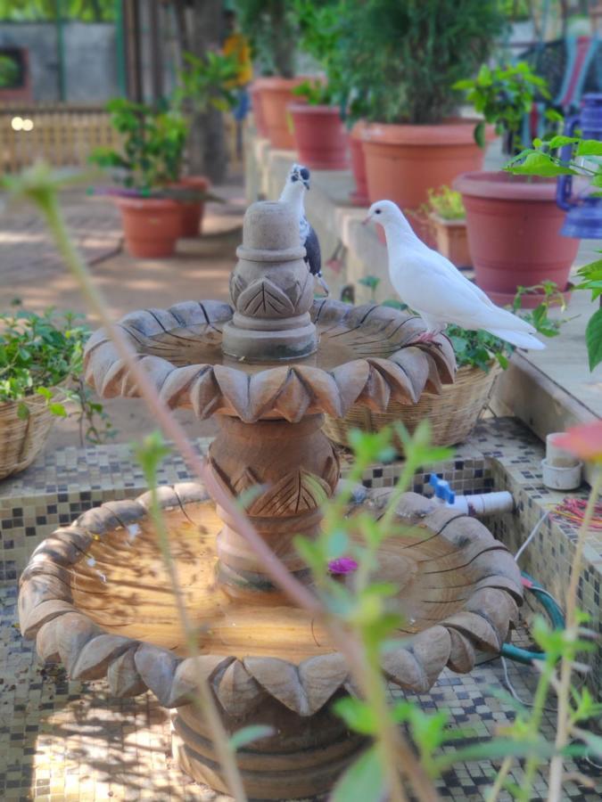 Visamo Farmstay Nānodra المظهر الخارجي الصورة
