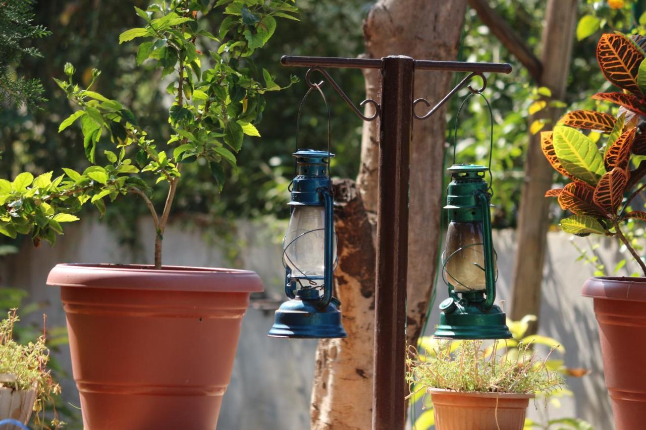 Visamo Farmstay Nānodra المظهر الخارجي الصورة